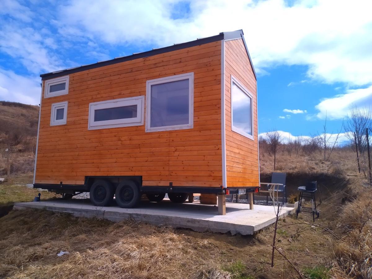 Tiny House Cluj With Jacuzzi Villa Sinnicoara Eksteriør bilde