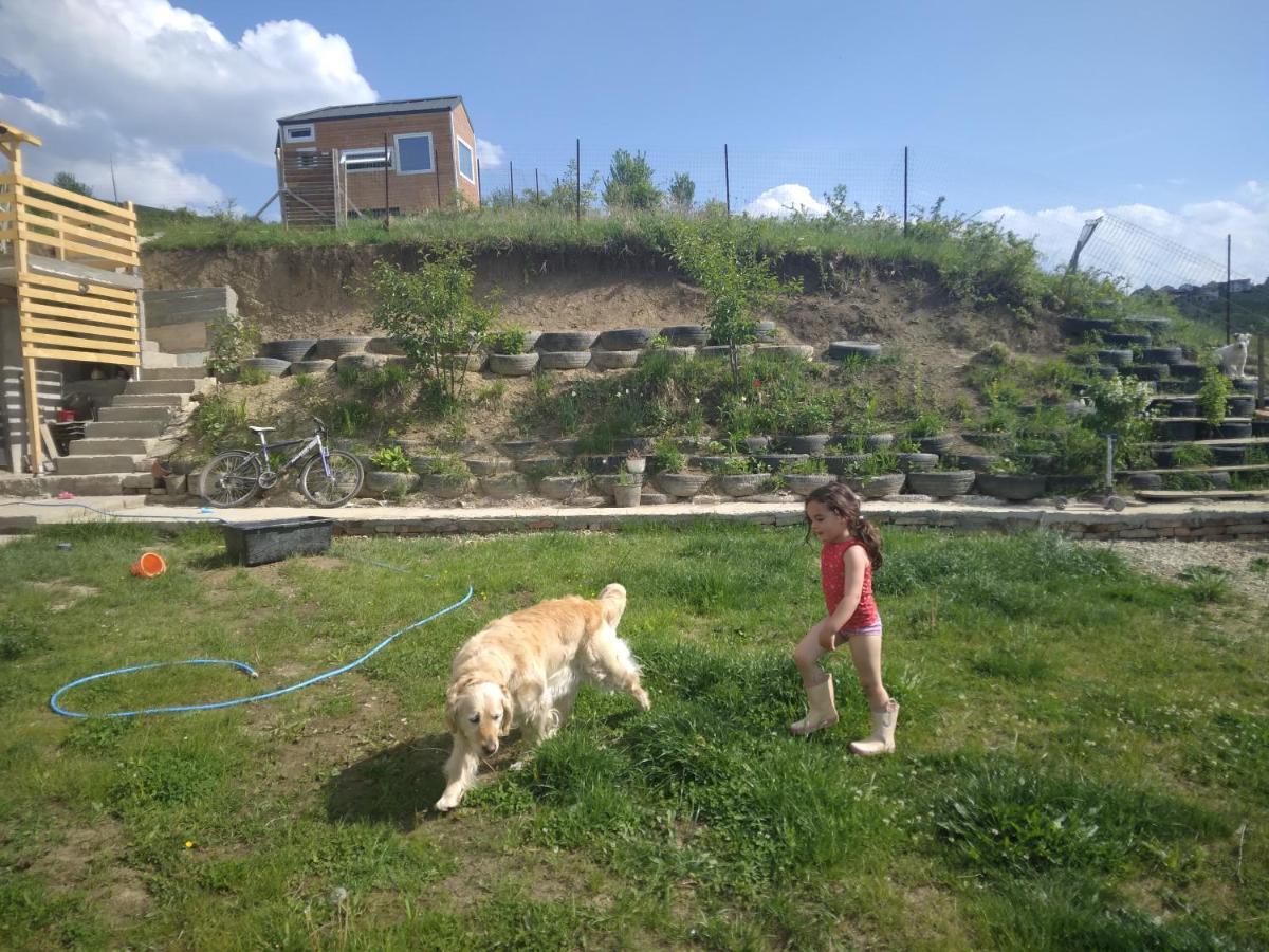 Tiny House Cluj With Jacuzzi Villa Sinnicoara Eksteriør bilde