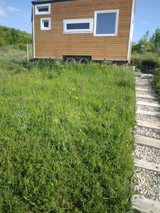 Tiny House Cluj With Jacuzzi Villa Sinnicoara Eksteriør bilde
